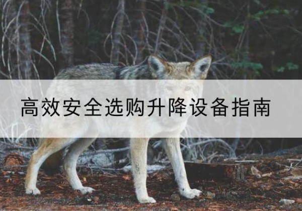 连城升降货梯厂家推荐-*安全选购升降设备指南