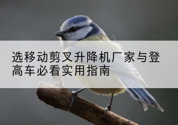 连城电动升降机厂家-选移动剪叉升降机厂家与登高车必看实用指南